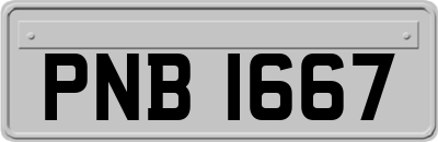 PNB1667