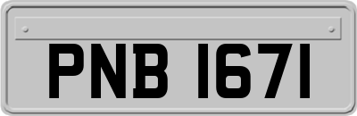 PNB1671