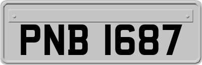 PNB1687