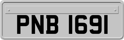PNB1691