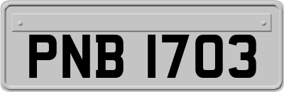 PNB1703
