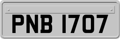 PNB1707