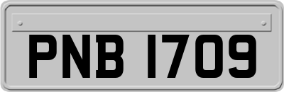 PNB1709