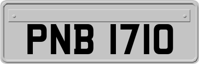 PNB1710