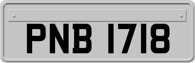 PNB1718