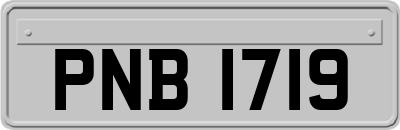 PNB1719