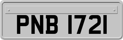 PNB1721