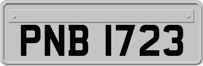 PNB1723