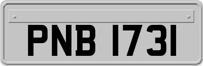 PNB1731