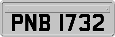 PNB1732