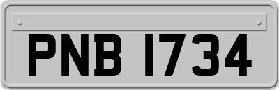 PNB1734