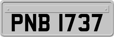 PNB1737