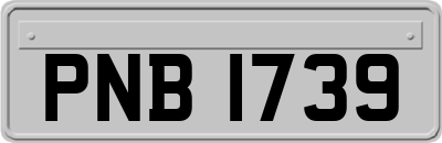 PNB1739