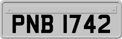 PNB1742