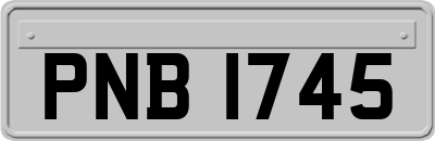 PNB1745