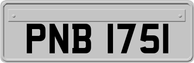 PNB1751