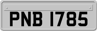 PNB1785