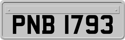 PNB1793