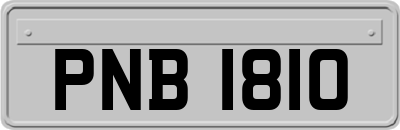 PNB1810