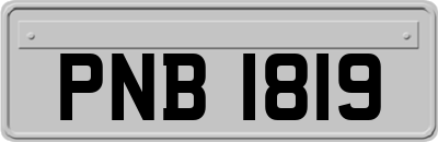 PNB1819