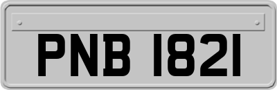 PNB1821
