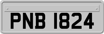 PNB1824