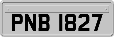 PNB1827