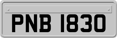 PNB1830