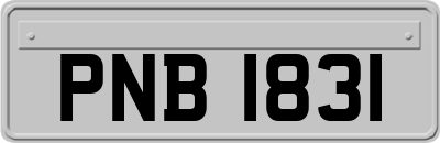 PNB1831