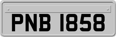 PNB1858