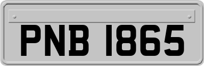 PNB1865