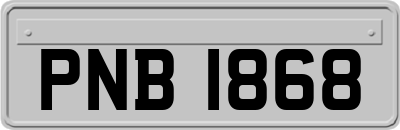 PNB1868