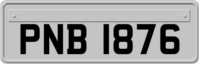 PNB1876