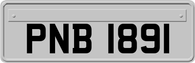 PNB1891