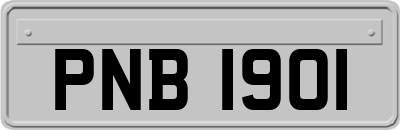 PNB1901