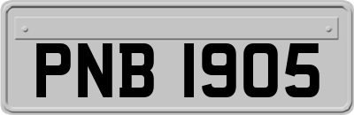 PNB1905