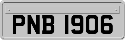 PNB1906