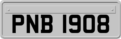 PNB1908