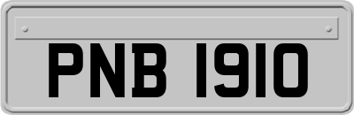 PNB1910