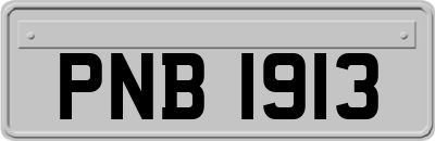 PNB1913
