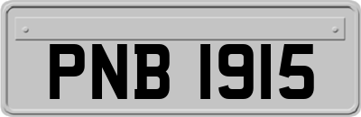 PNB1915