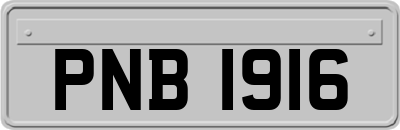 PNB1916