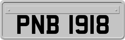 PNB1918