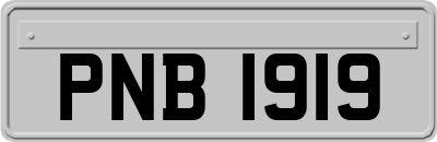 PNB1919