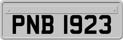 PNB1923
