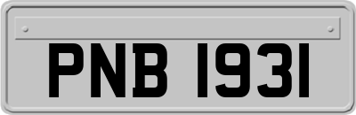 PNB1931