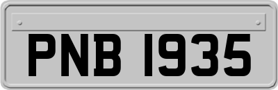 PNB1935
