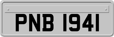 PNB1941