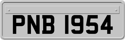 PNB1954