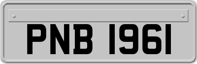 PNB1961